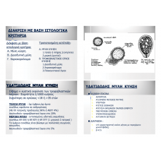 GYNAIKOLOGIADEKABALAS