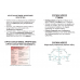 ACUTE MONOARTHRITIS 